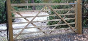 Fencing in Lyndhurst