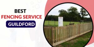 Fencing in Lyndhurst